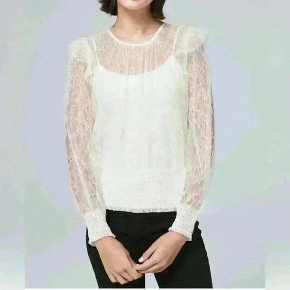 White House Black Market Sheer Lace Blouse Size Small - Picture 1 of 7
